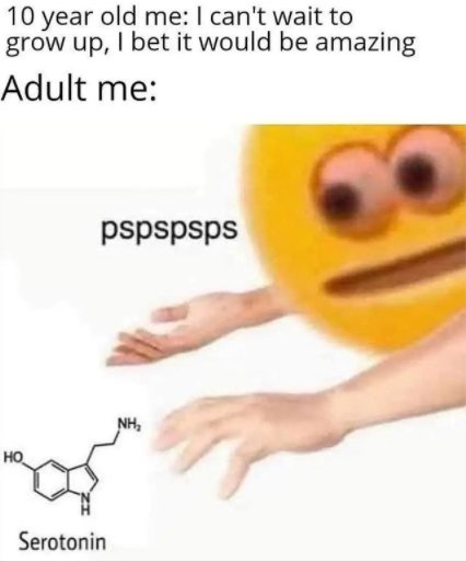 Science Memes (32 pics)