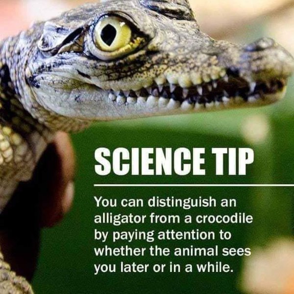 Science Memes (32 pics)