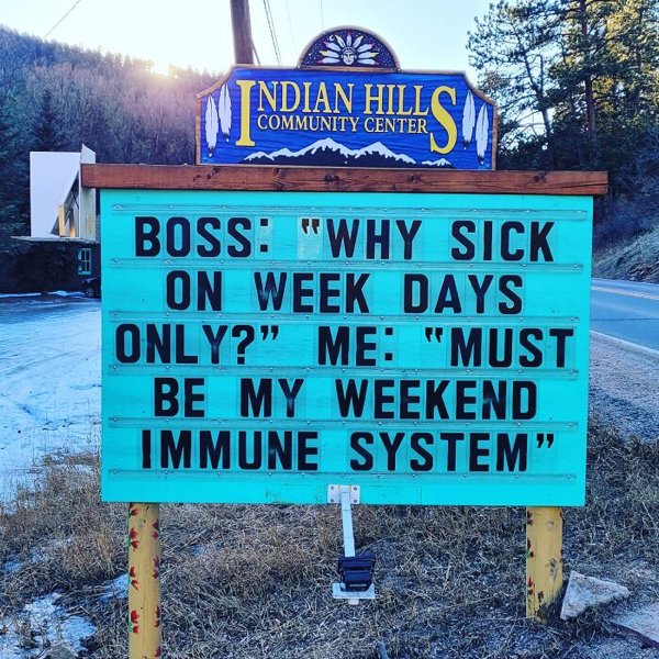Funny Signs (35 pics)