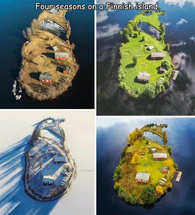 Acid Picdump 1 (56 pics)