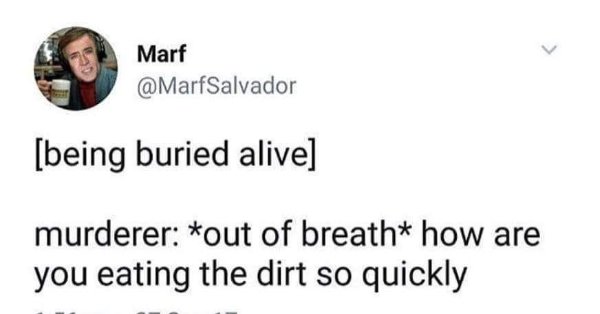 Random Funny Memes (32 pics)