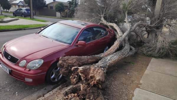 Perfect Fitting (30 pics)