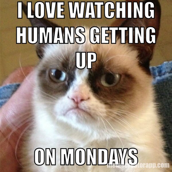 Monday Memes (34 pics)