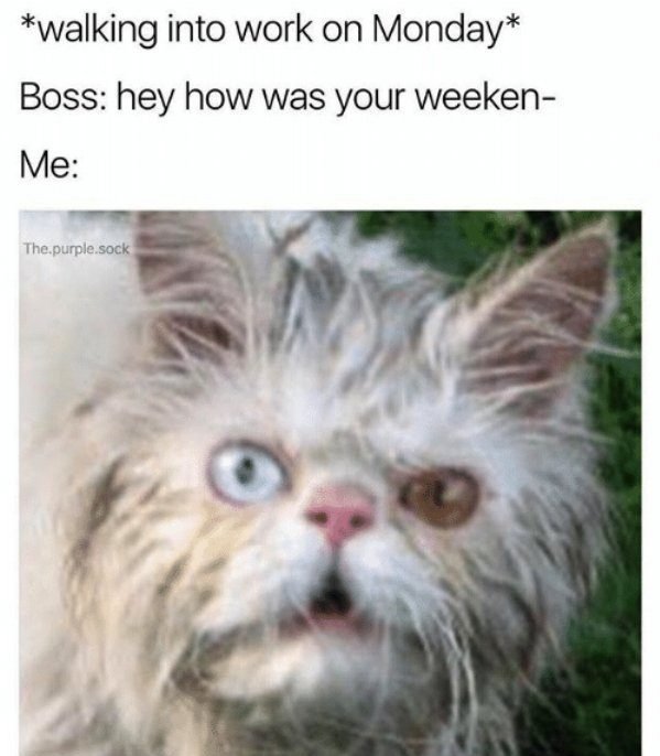Monday Memes (34 pics)