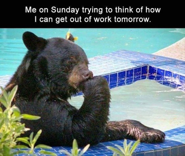 Monday Memes (34 pics)