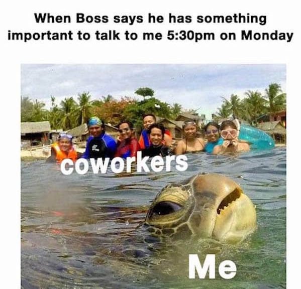 Monday Memes (34 pics)