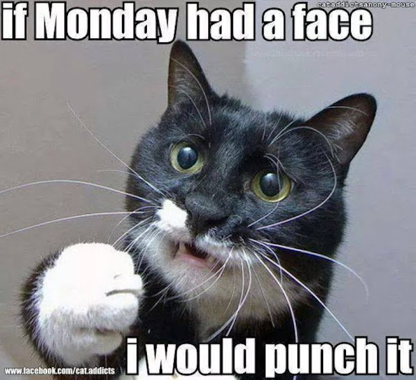 Monday Memes (34 pics)