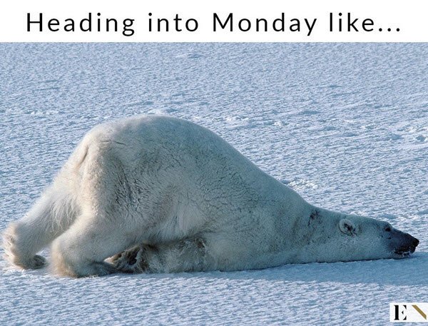 Monday Memes (34 pics)