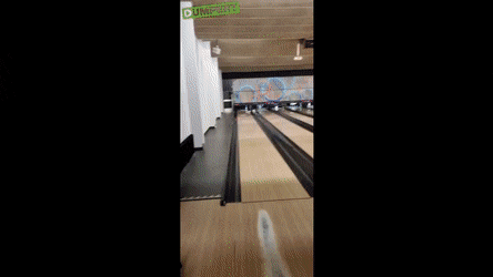 Acid Gifdump, August 23 (25 gifs)