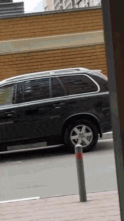 Acid Gifdump, August 23 (25 gifs)