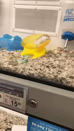 Acid Gifdump, August 23 (25 gifs)