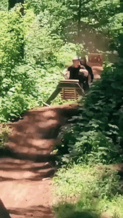 Acid Gifdump, August 23 (25 gifs)