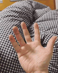 Acid Gifdump, August 23 (25 gifs)