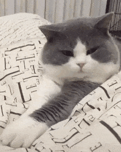 Acid Gifdump, August 23 (25 gifs)
