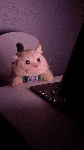 Acid Gifdump, August 23 (25 gifs)
