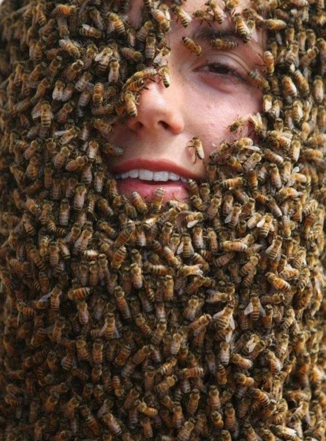 Acid Picdump 2 (85 pics)
