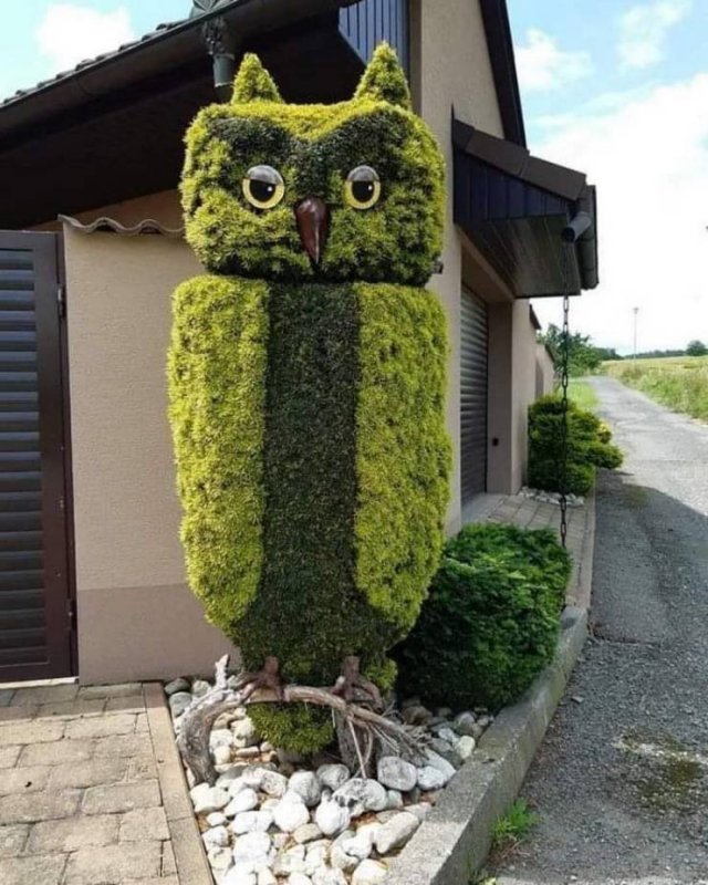 Acid Picdump 2 (85 pics)
