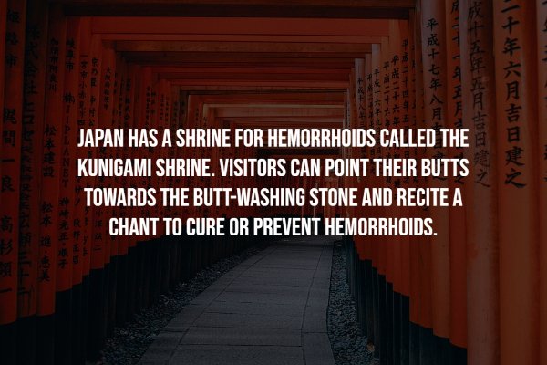 Intriguing Facts (18 pics)