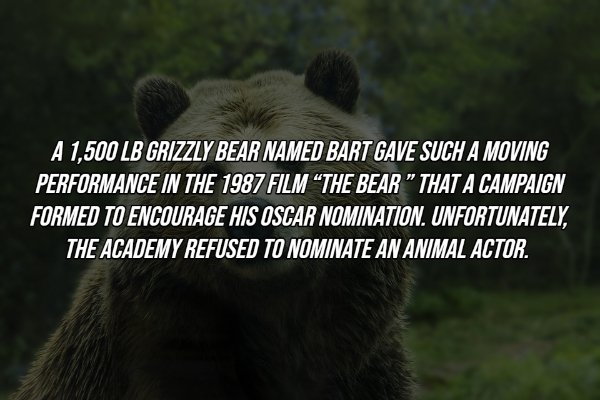 Intriguing Facts (18 pics)