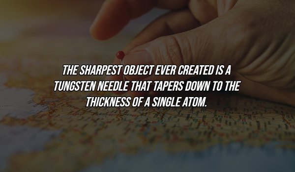 Intriguing Facts (18 pics)