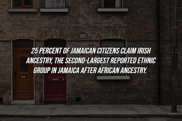 Intriguing Facts (18 pics)