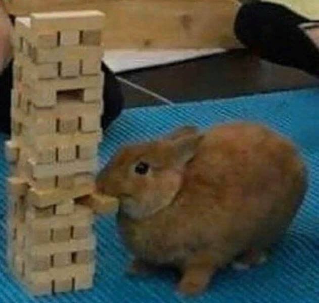 Acid Picdump 1 (84 pics)