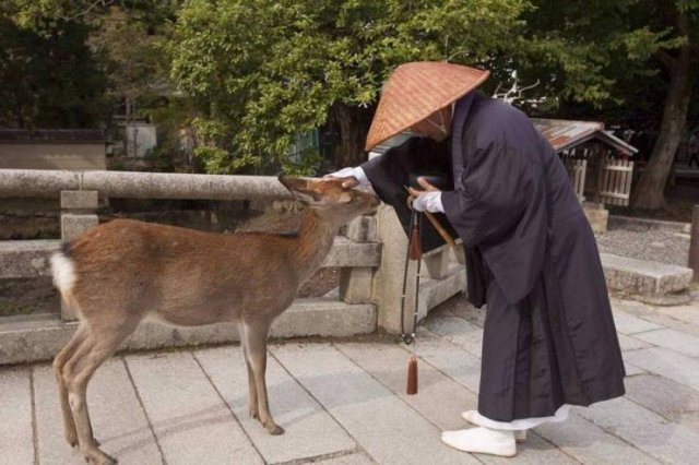 Acid Picdump 1 (84 pics)