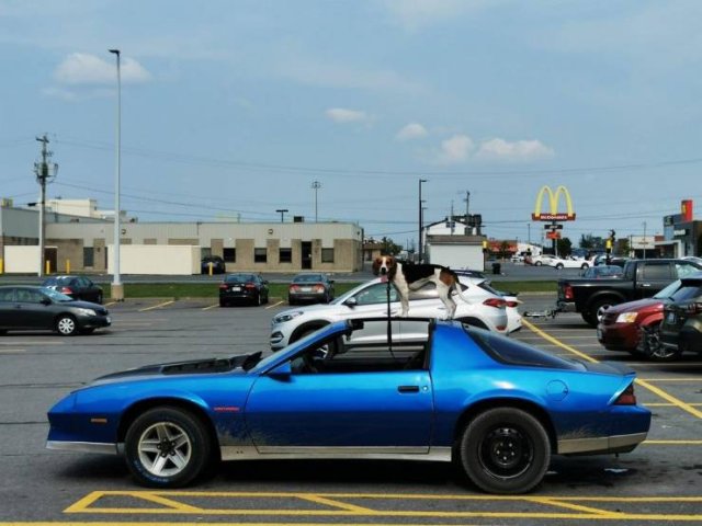 Acid Picdump 1 (84 pics)