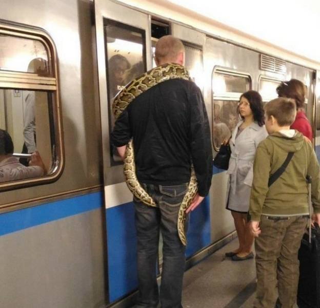 Acid Picdump 1 (84 pics)