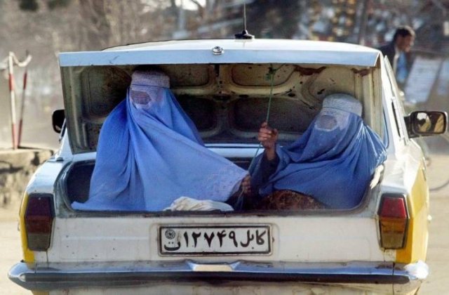 Acid Picdump 1 (84 pics)