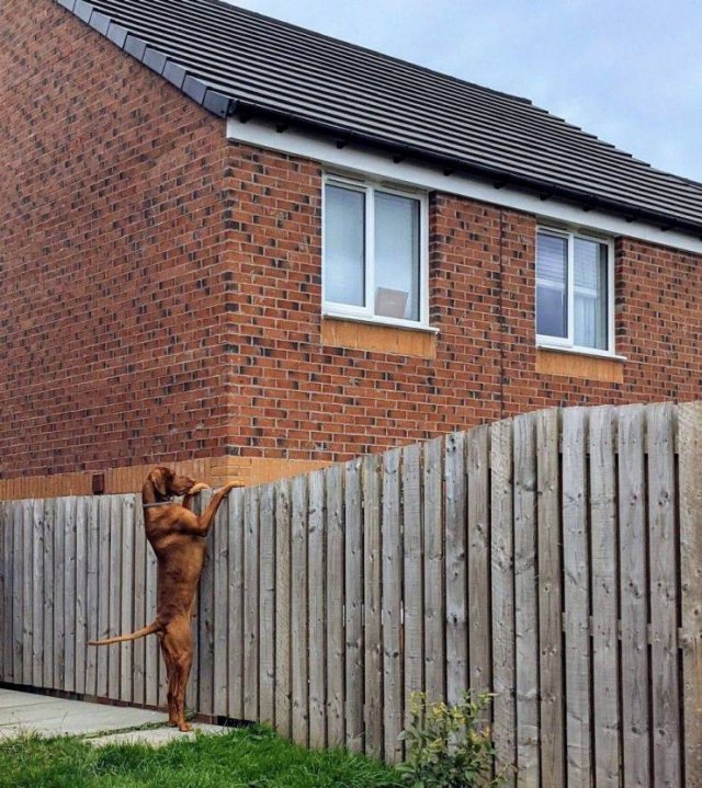 Acid Picdump 1 (84 pics)