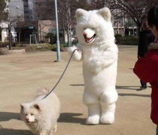 Acid Picdump 2 (83 pics)