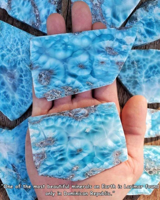 Acid Picdump 1 (84 pics)