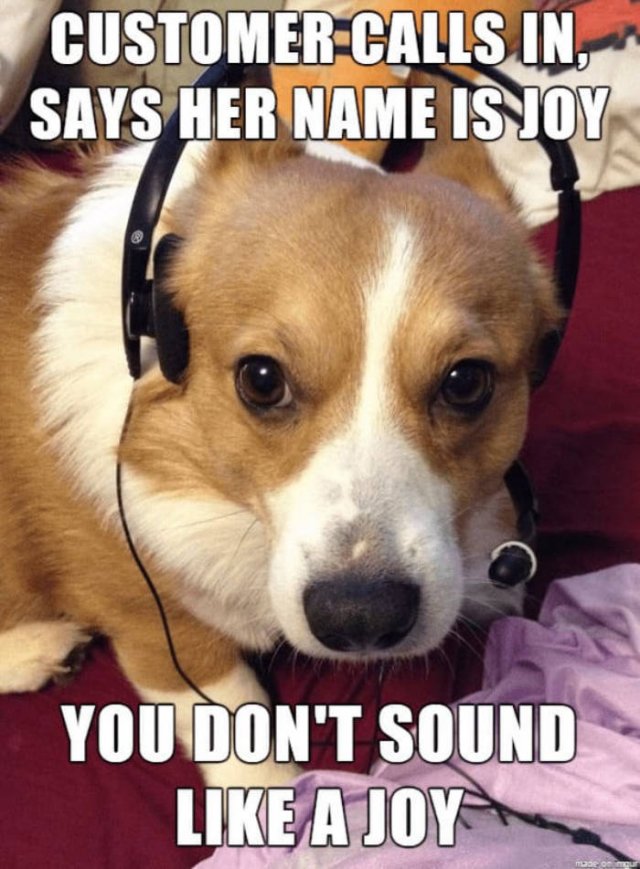 Customer Service Memes (44 pics)