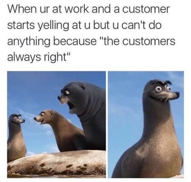Customer Service Memes (44 pics)