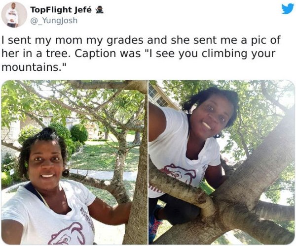 Wholesome Stories (30 pics)
