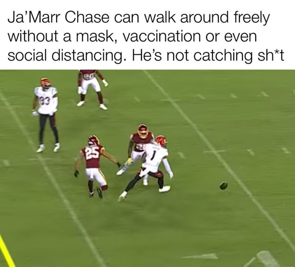 NFL Memes (33 pics)