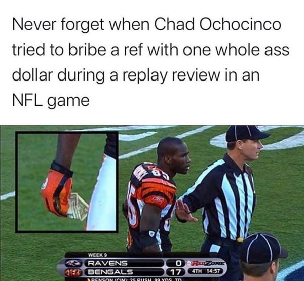 NFL Memes (33 pics)