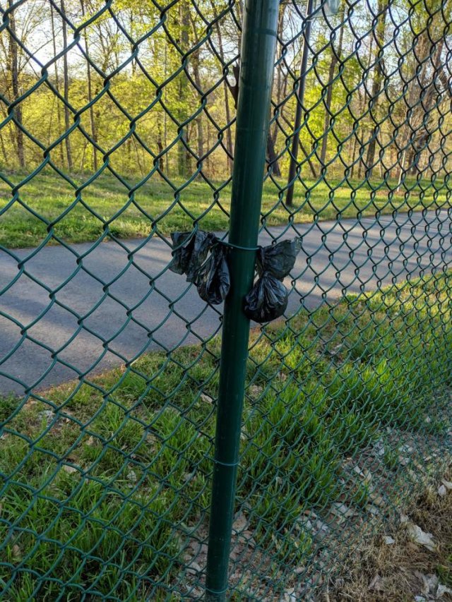 Lazy People (24 pics)
