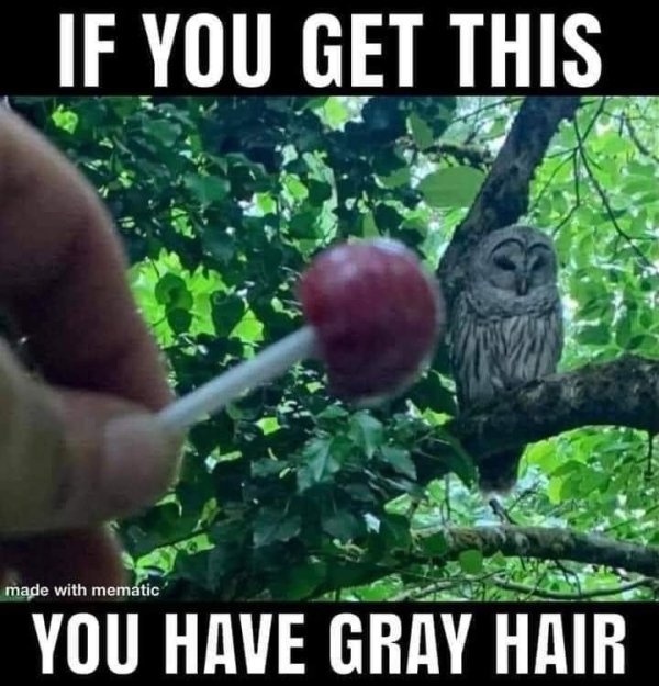 You Are Getting Old Memes (30 pics)