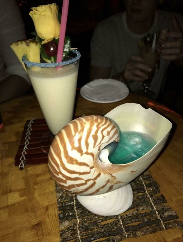 Weird Cups And Bowls (32 pics)