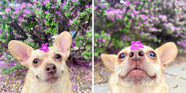 Life Is Beautiful (47 pics)