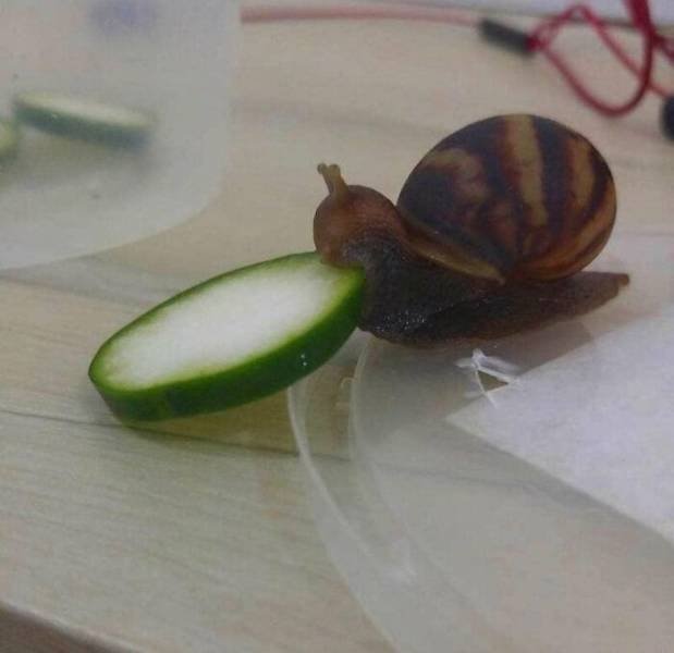Life Is Beautiful (47 pics)