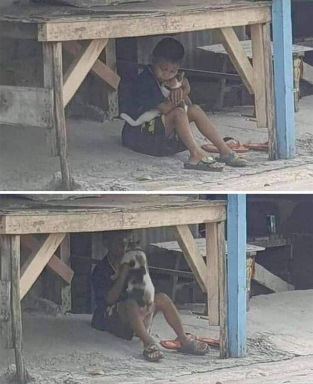 Life Is Beautiful (47 pics)