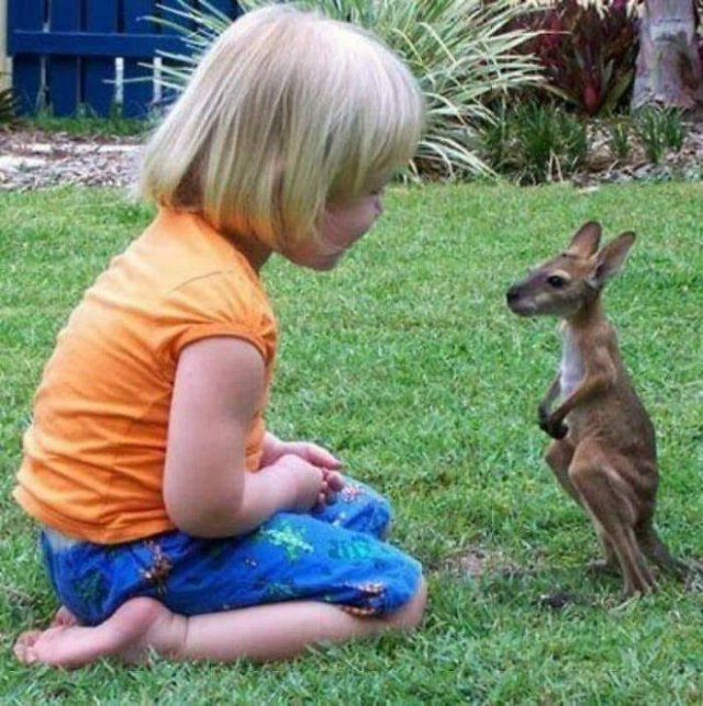 Life Is Beautiful (47 pics)