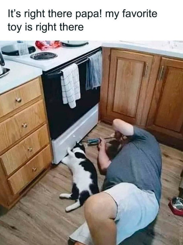 Life Is Beautiful (47 pics)