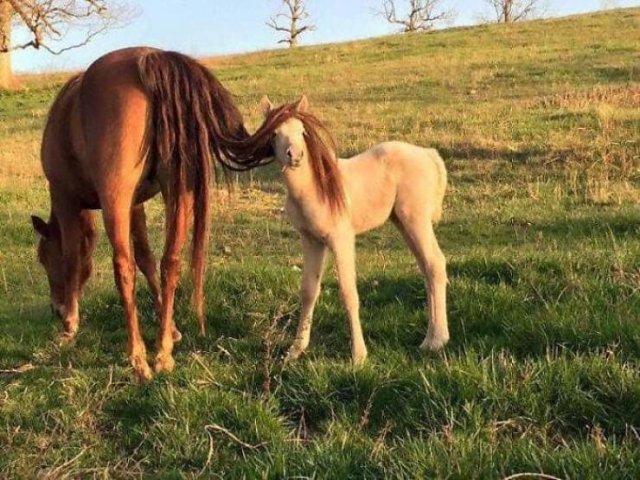 Life Is Beautiful (47 pics)