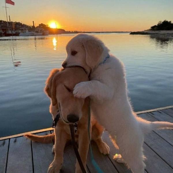 Life Is Beautiful (47 pics)
