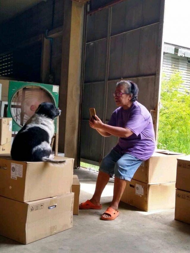 Life Is Beautiful (47 pics)