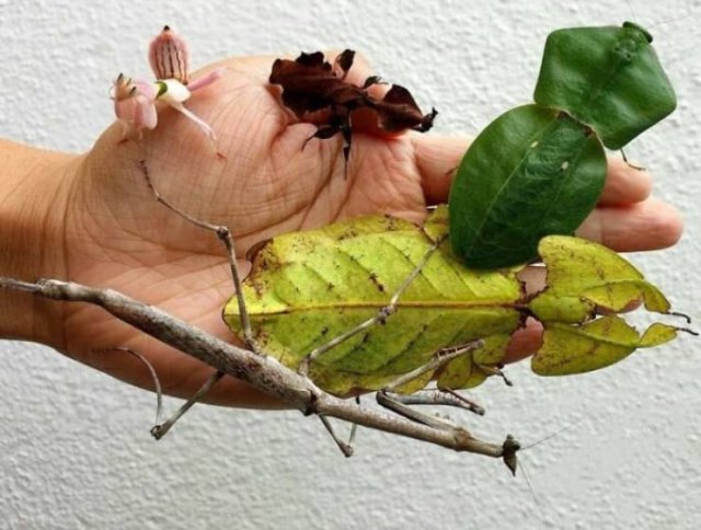 Life Is Beautiful (47 pics)